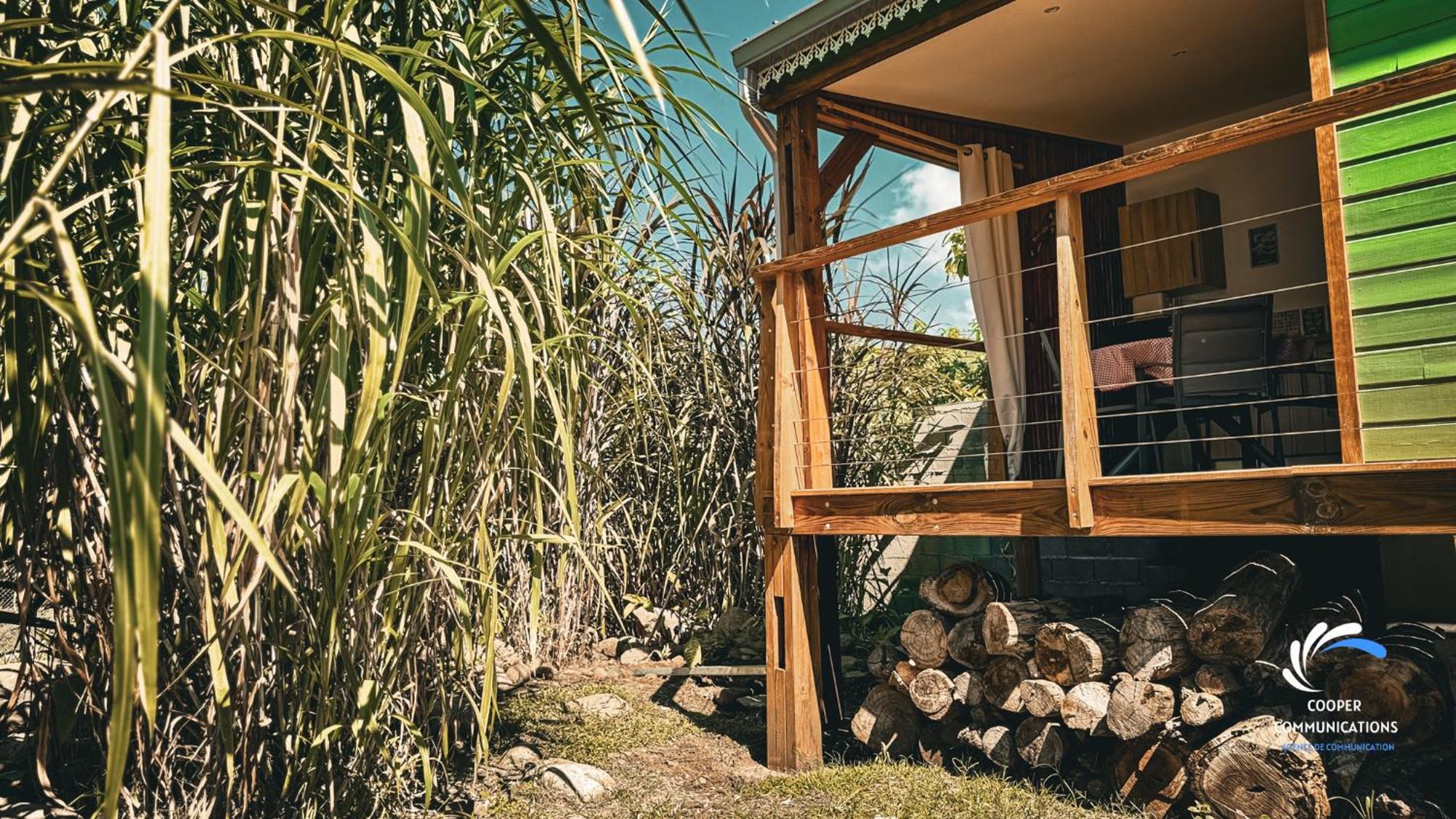 Chalet Tikaz Sandjo Noël Εξωτερικό φωτογραφία