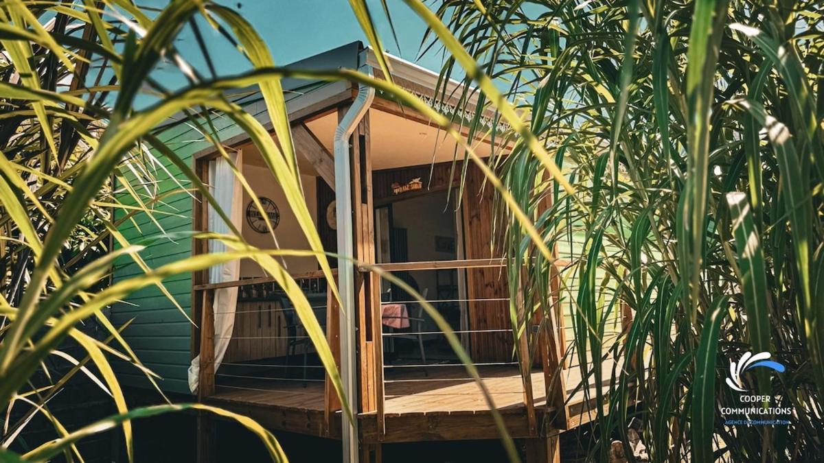 Chalet Tikaz Sandjo Noël Εξωτερικό φωτογραφία